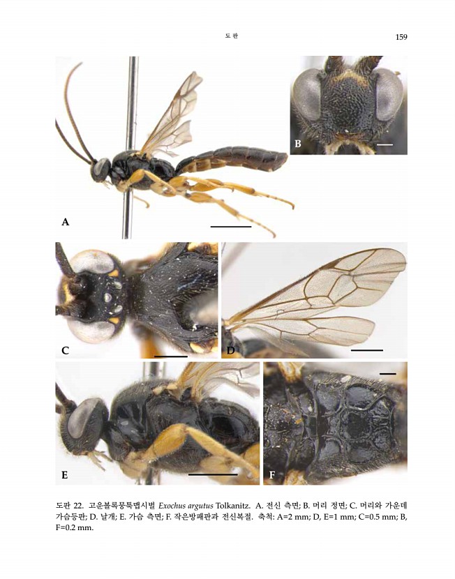 159페이지