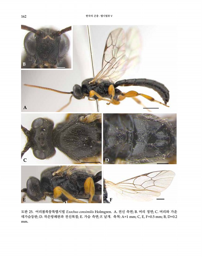 162페이지
