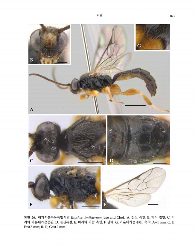 163페이지