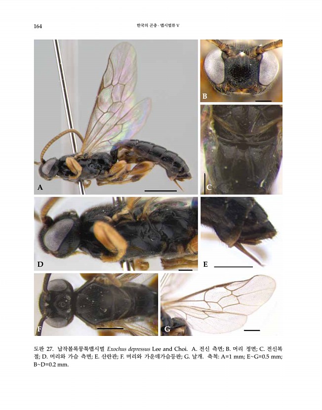 164페이지