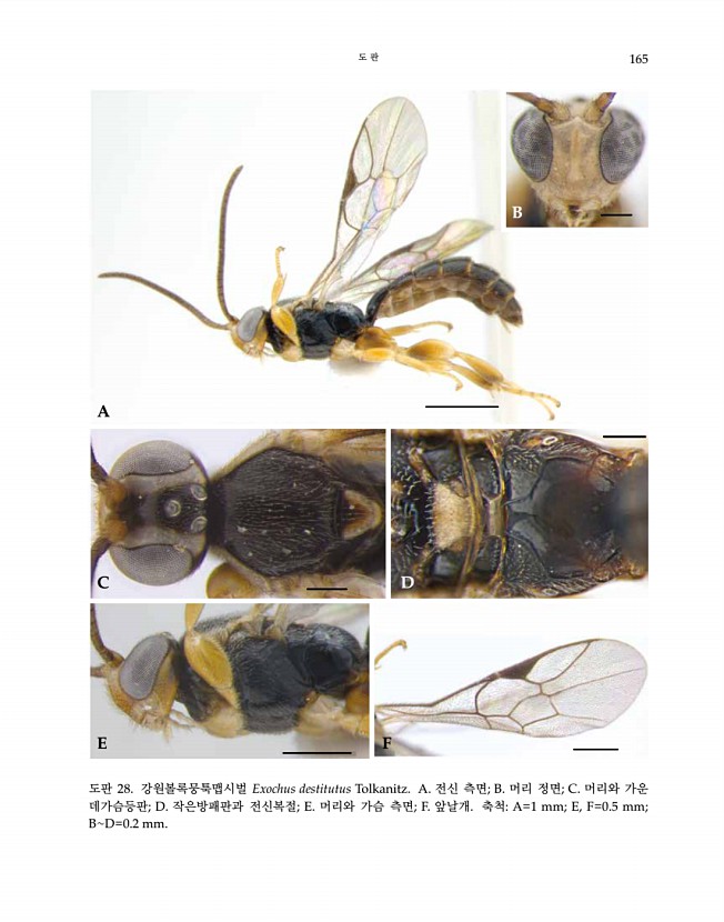 165페이지
