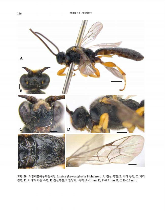 166페이지