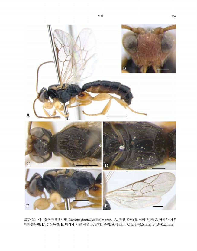 167페이지