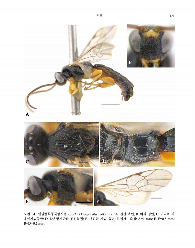171페이지