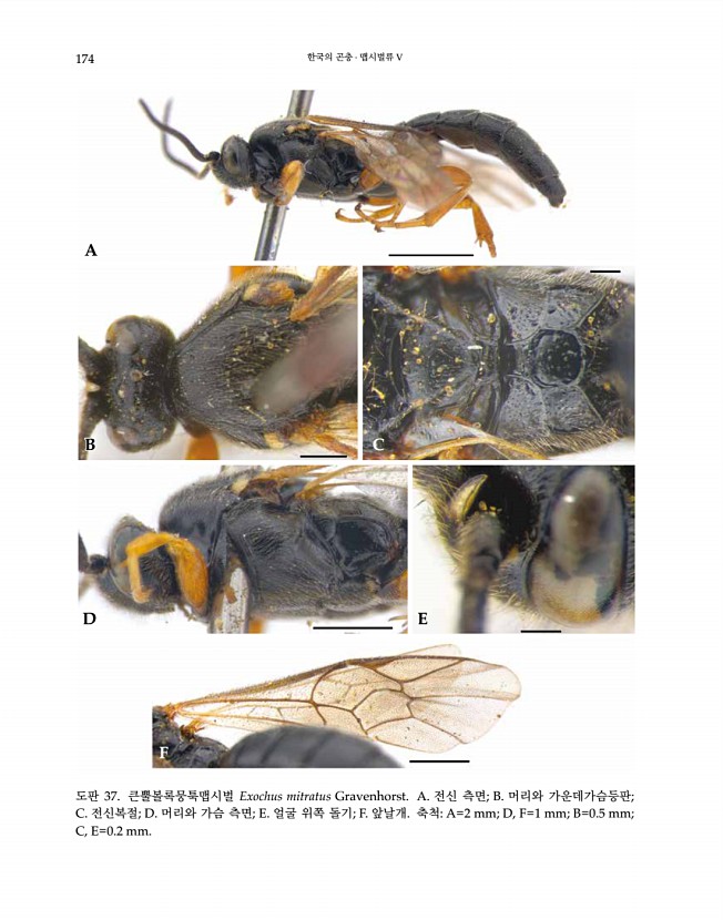 174페이지