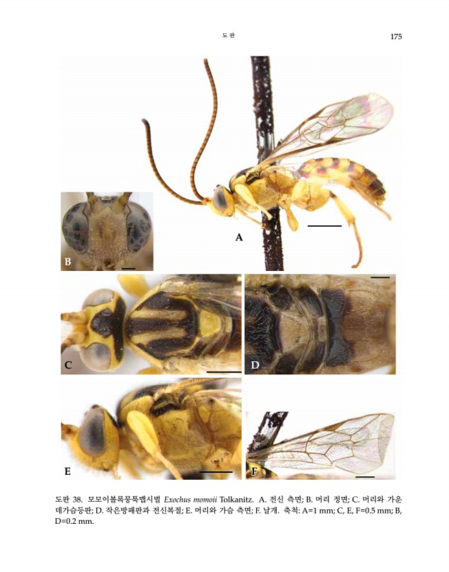 175페이지