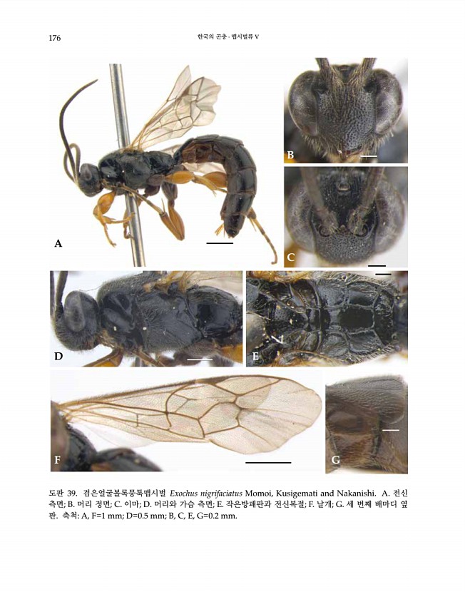 176페이지