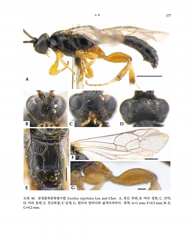 177페이지