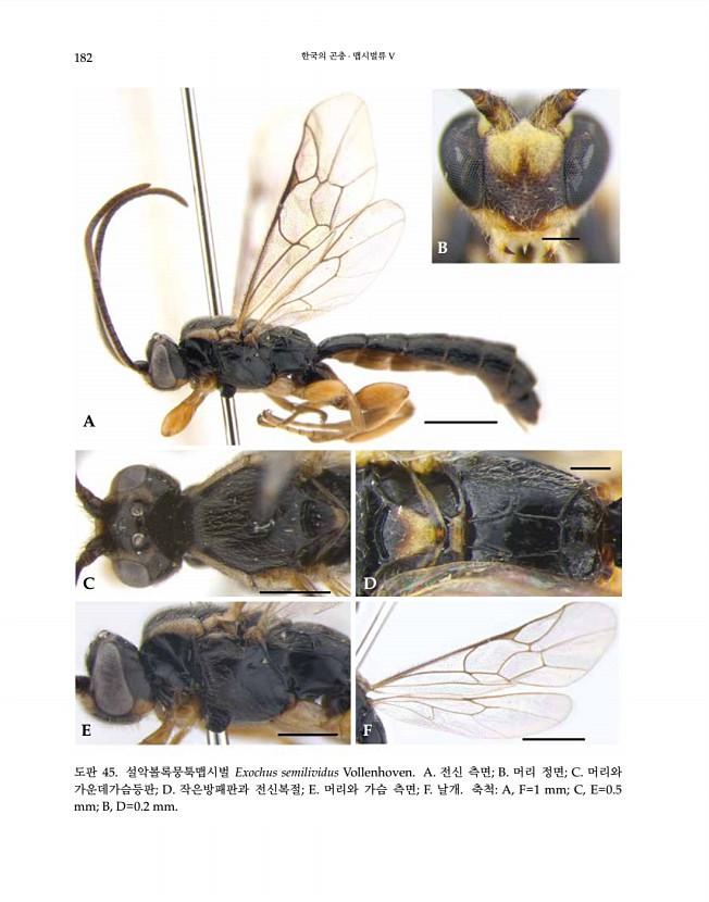 182페이지