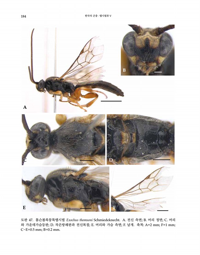 184페이지