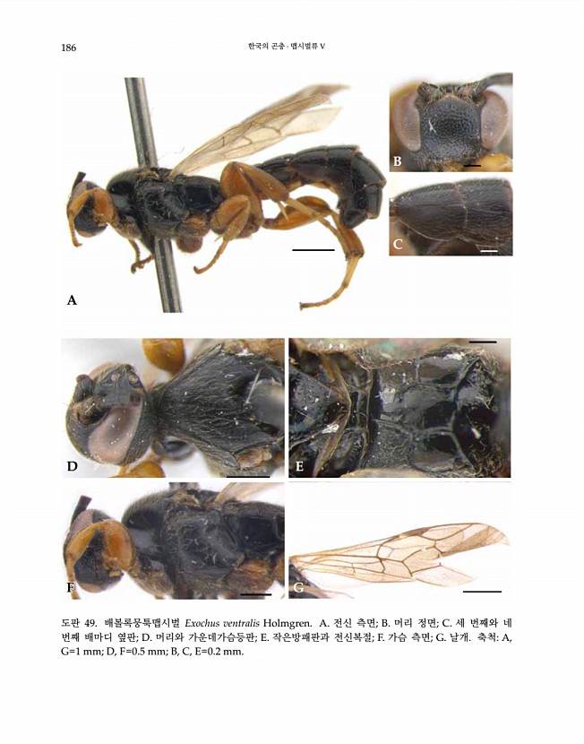 186페이지
