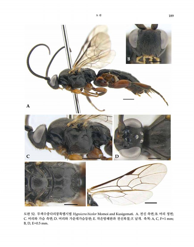189페이지