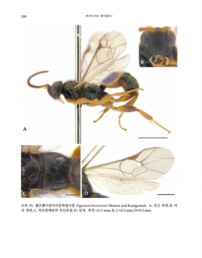 190페이지
