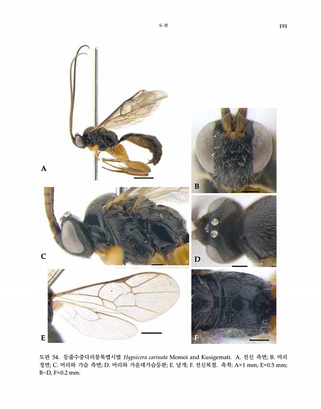 191페이지