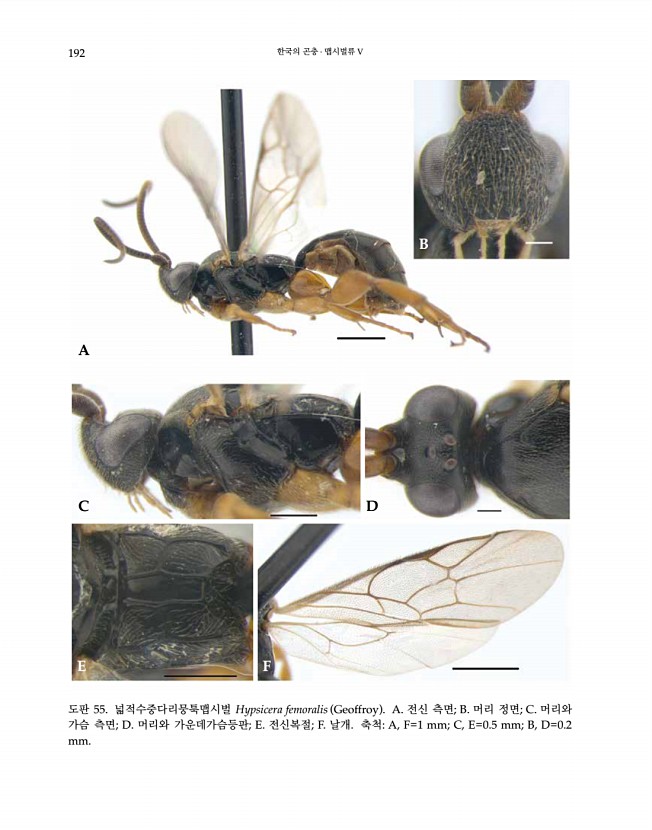 192페이지