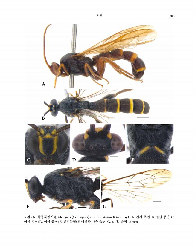203페이지