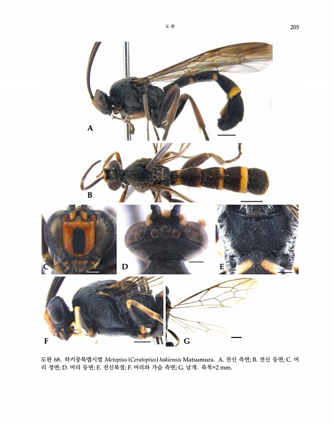 205페이지