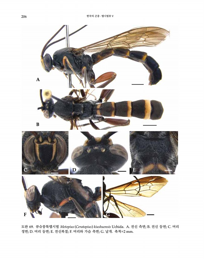206페이지
