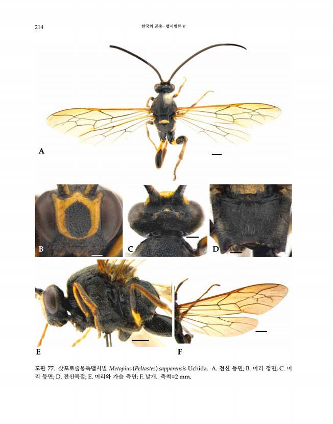 214페이지