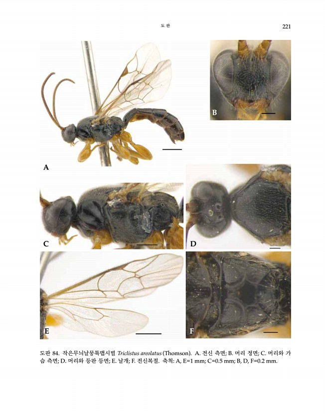 221페이지