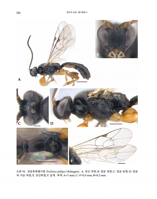 226페이지
