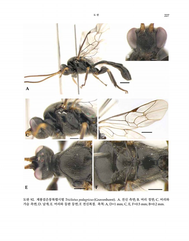 227페이지