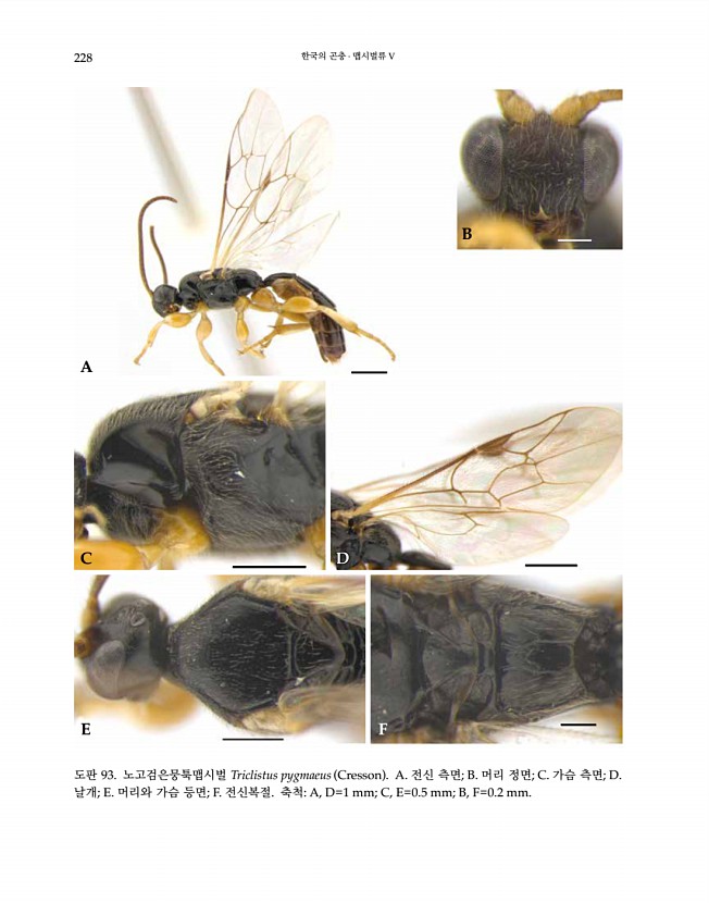 228페이지