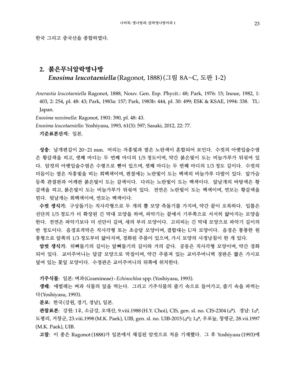 페이지