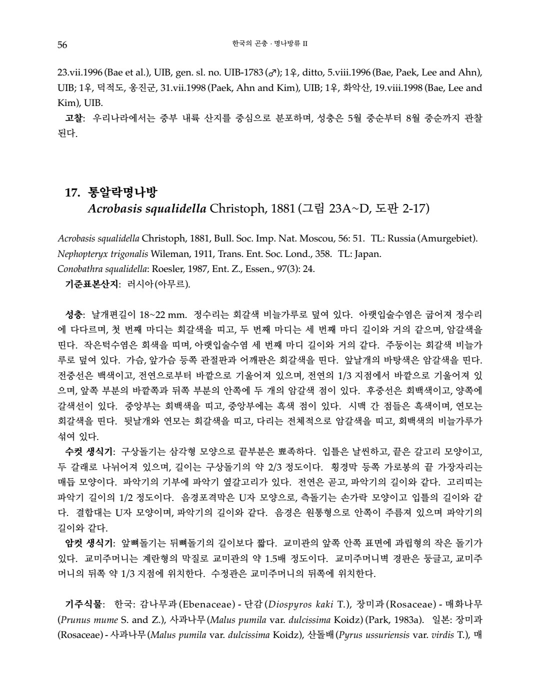 페이지