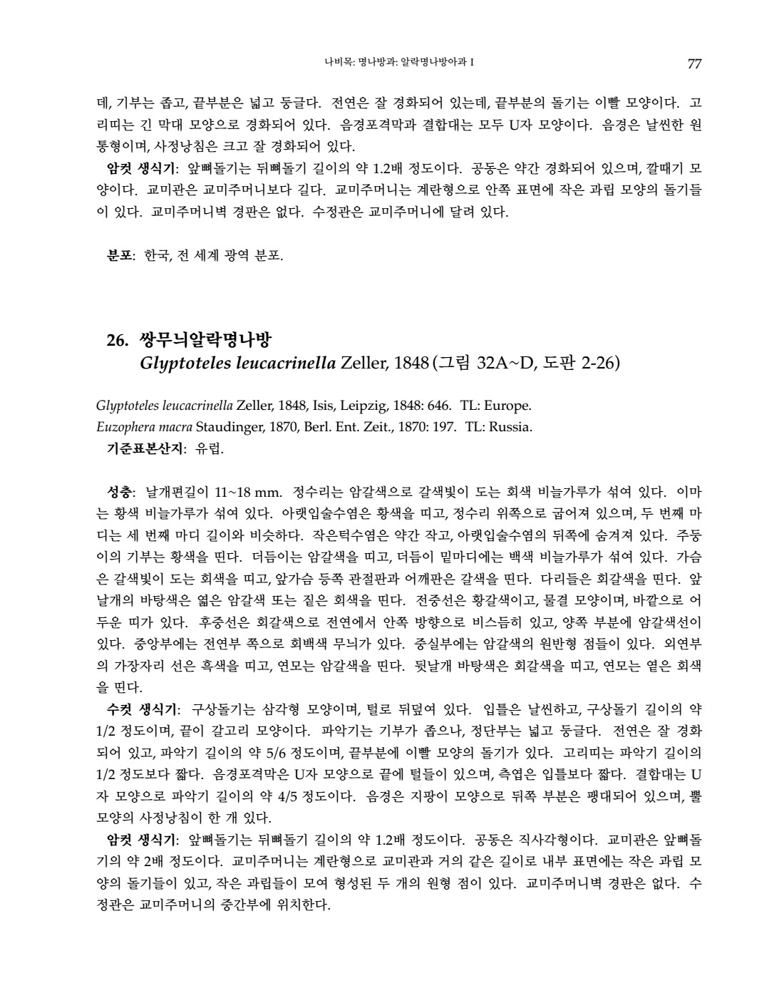 페이지
