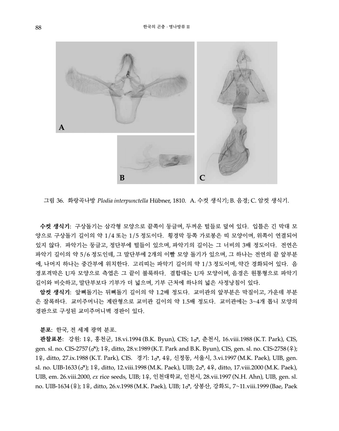 페이지