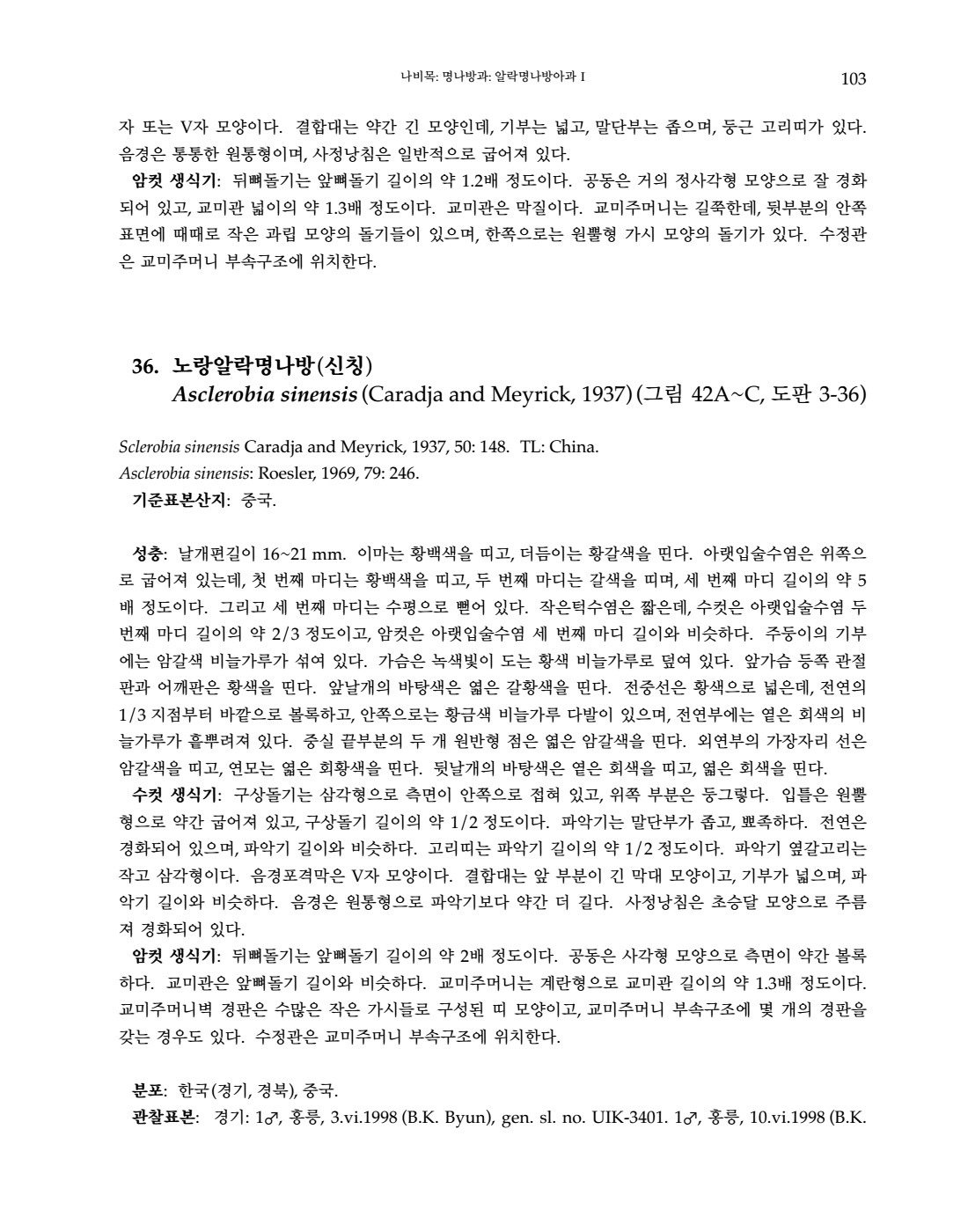 페이지