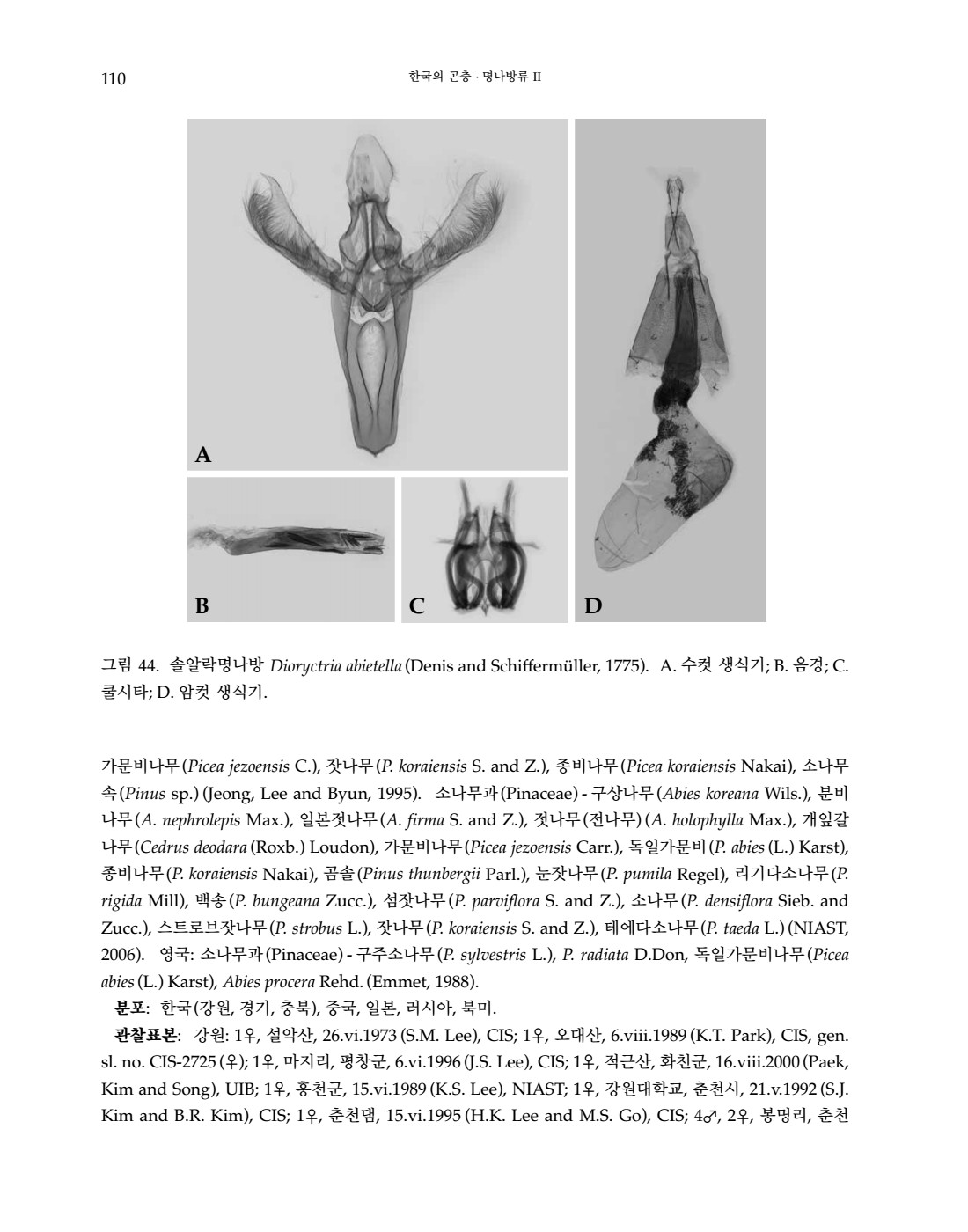 페이지