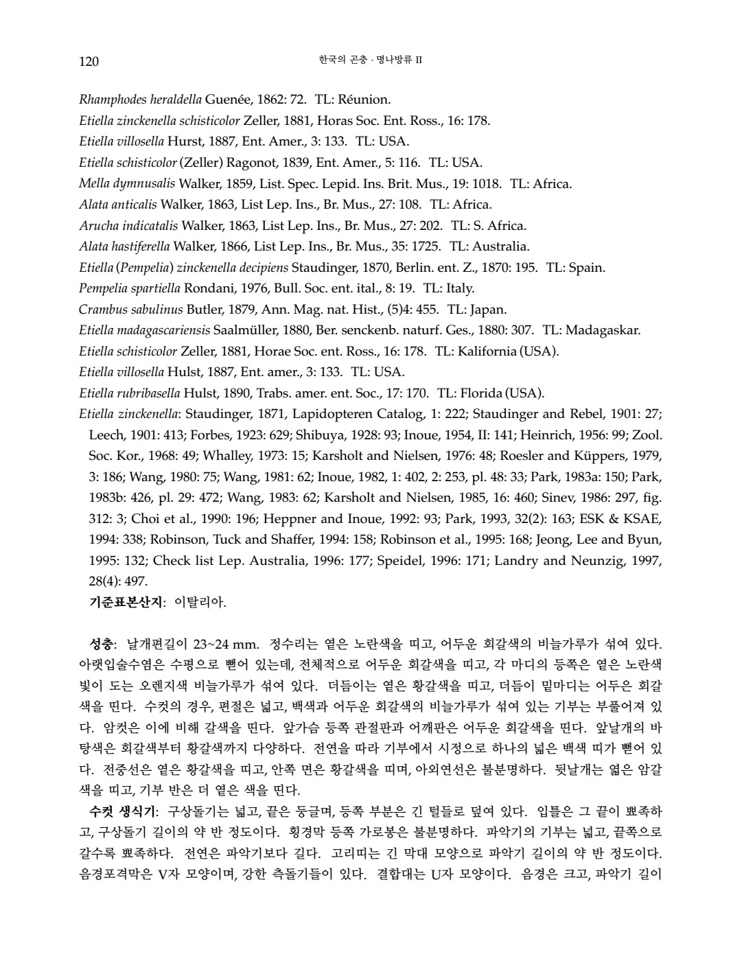 페이지