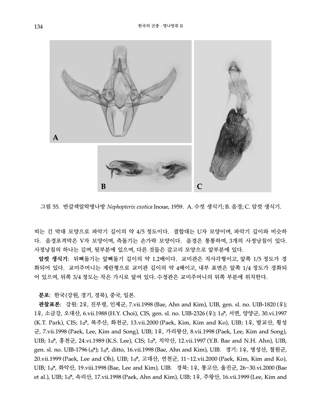 페이지
