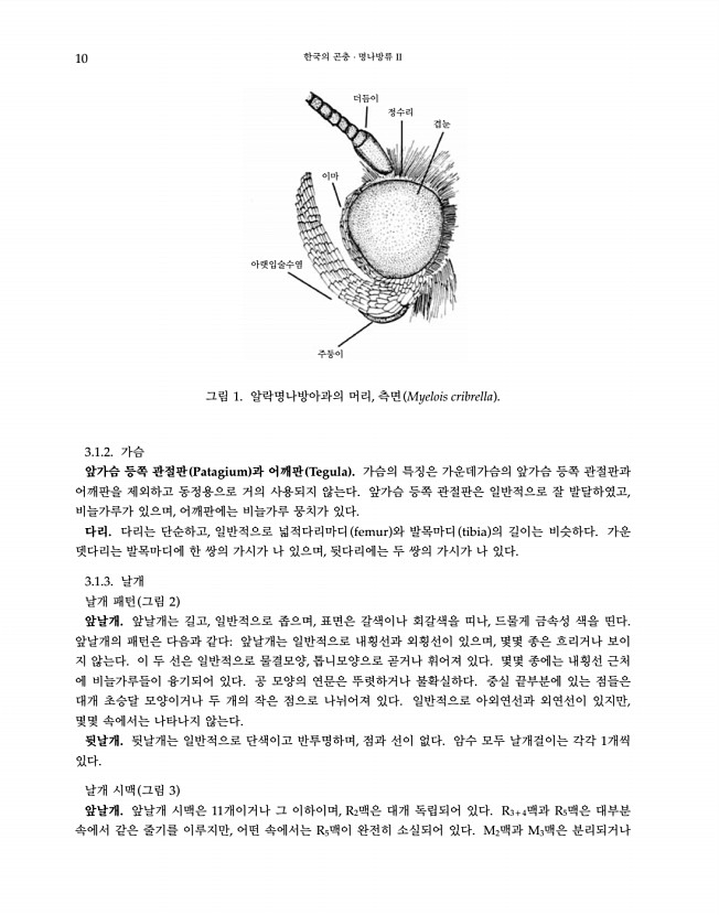 10페이지