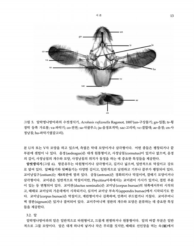 13페이지