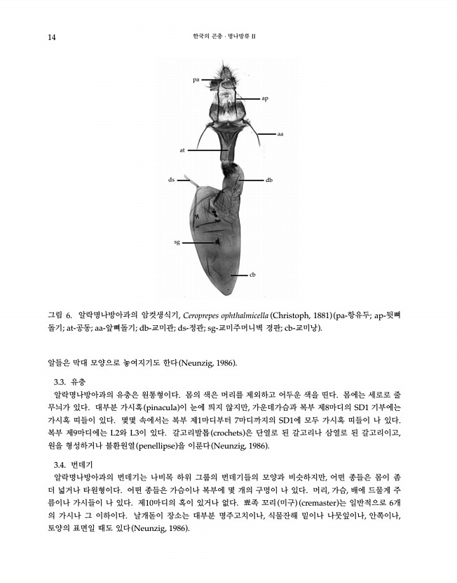 14페이지