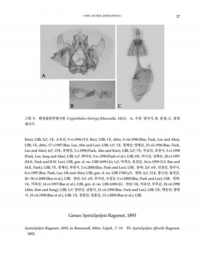 27페이지