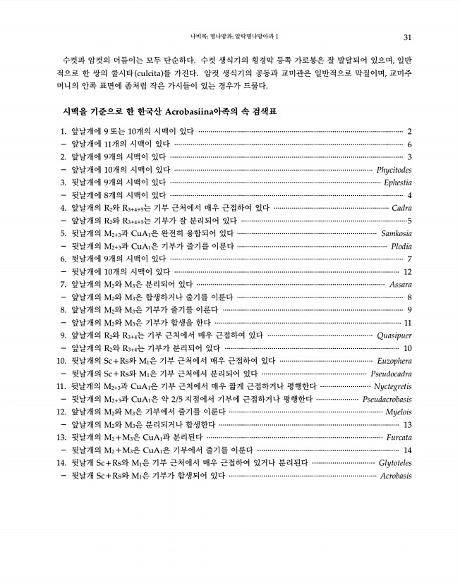 31페이지