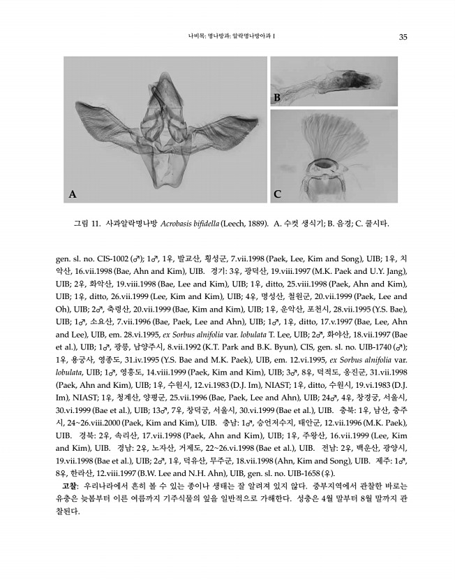 35페이지