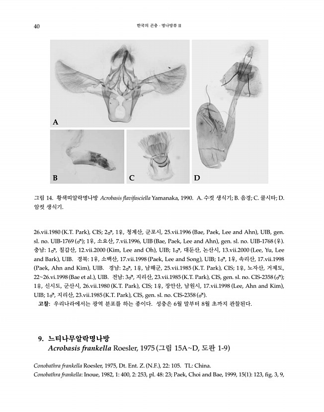 40페이지