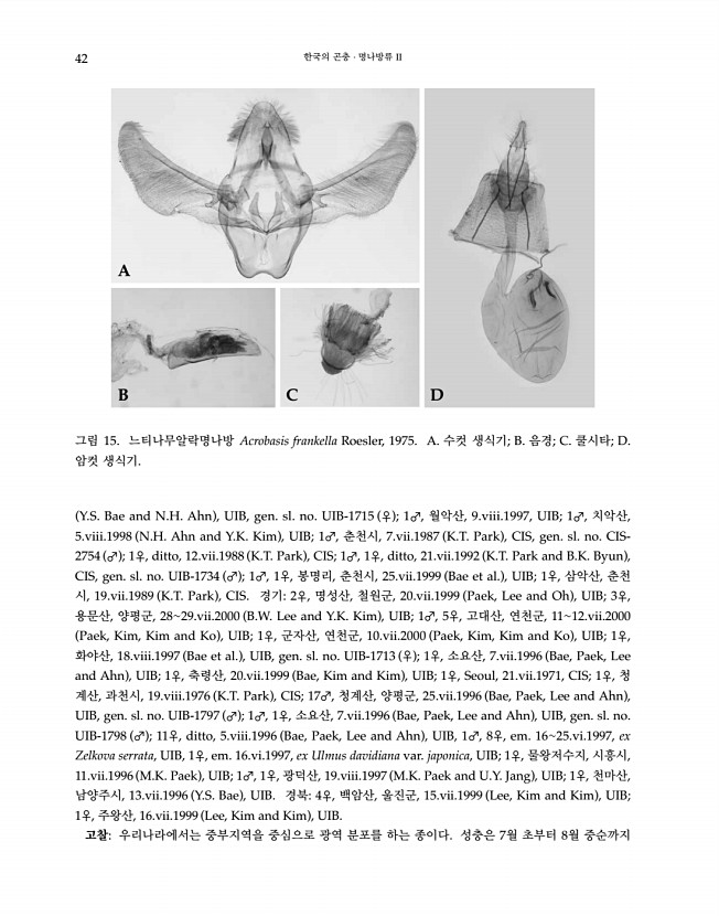 42페이지