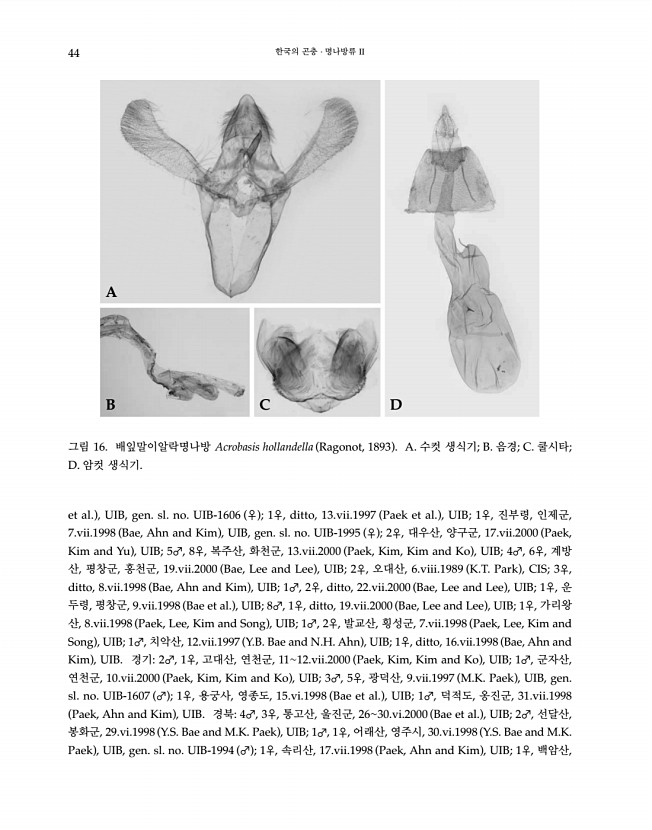 44페이지