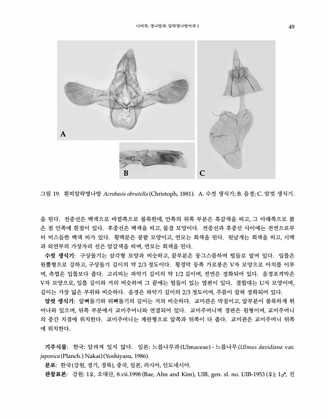 49페이지