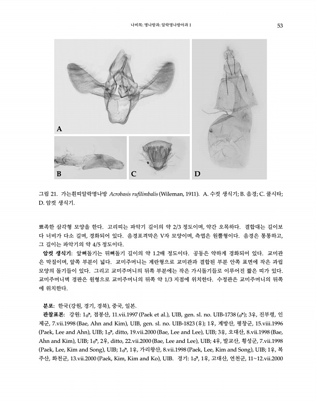 53페이지