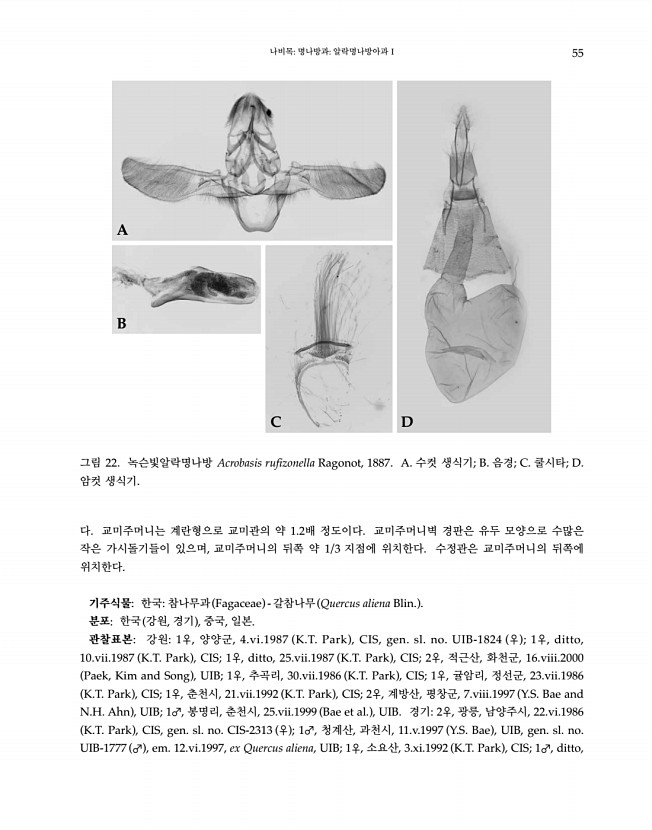 55페이지