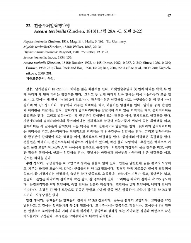 67페이지