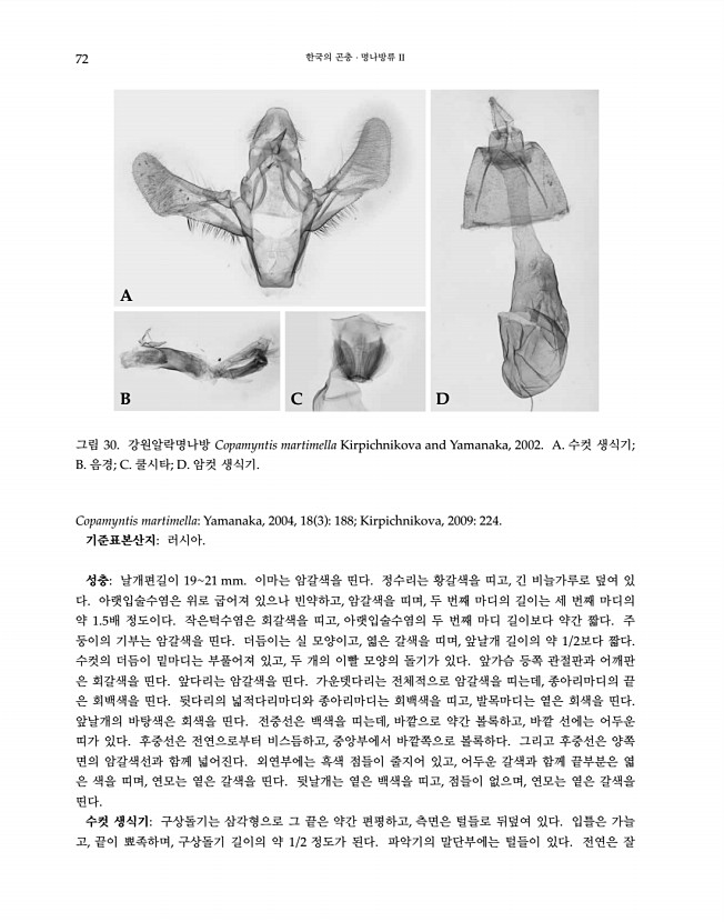 72페이지