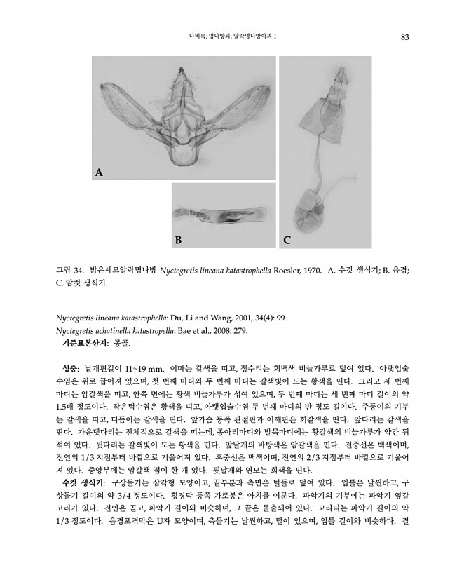 83페이지